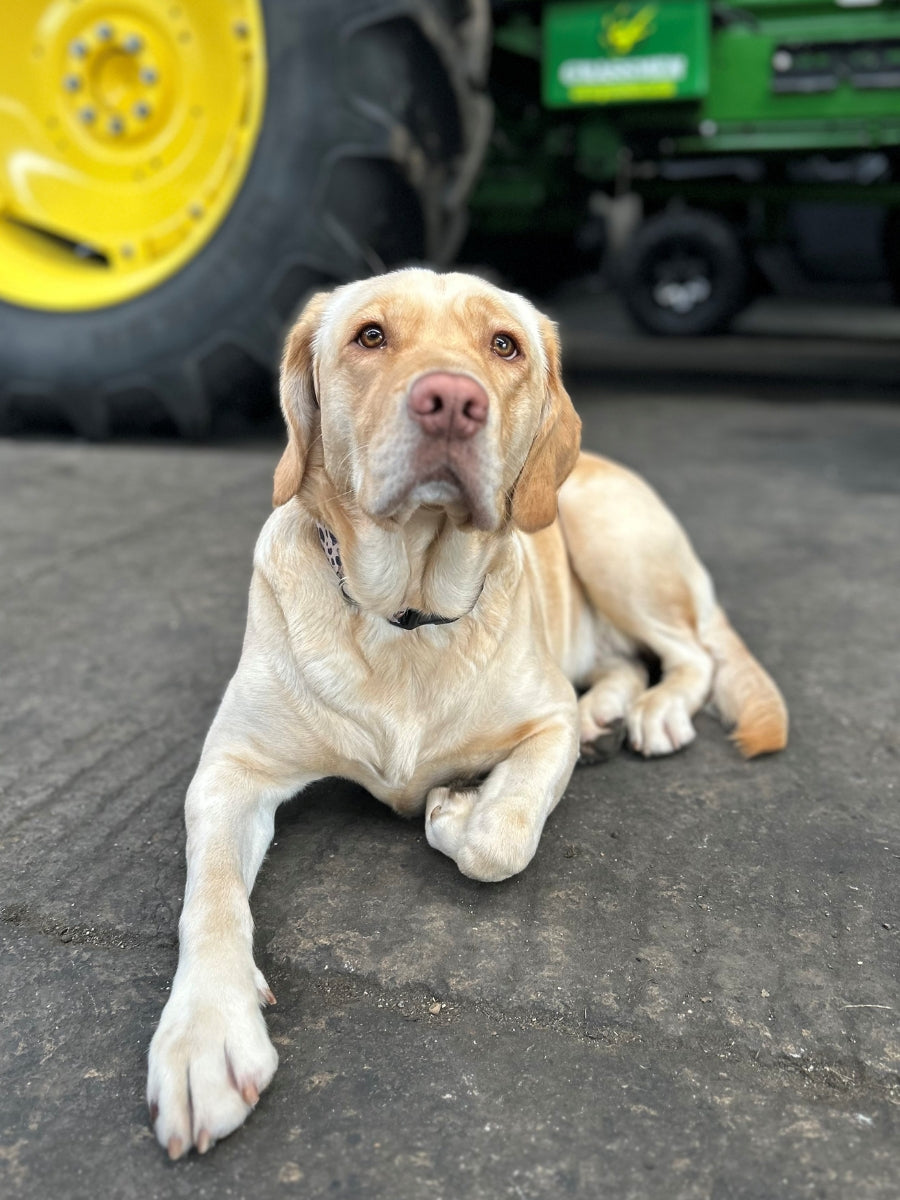 Picture of Heidi Gregg