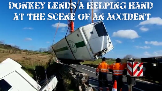 Donkey lends a helping hand at the scene of an accident