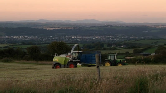 Green Fever (Addiction)