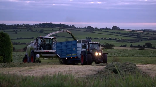 Green Fever (Night Work)