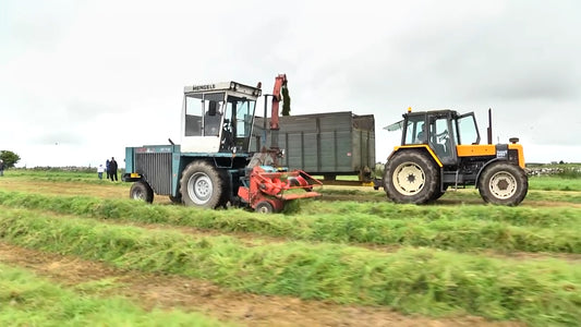 Old School (Dunmore History Of Silage)