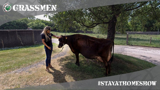 #StayAtHomeShow - Livestock with Kirstie - Clandeboye Estate