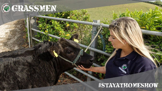 #StayAtHomeShow - Livestock with Kirstie - JCB Commercials