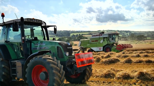 Sustain The Flame (Trevozah)