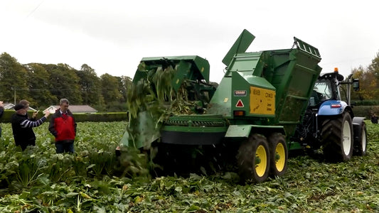 GRASSMEN TV - Cross Open Day 2017, Sugar Beet!