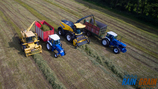 NEW DVD -'Rain & Grain' - Pre Order Now!!