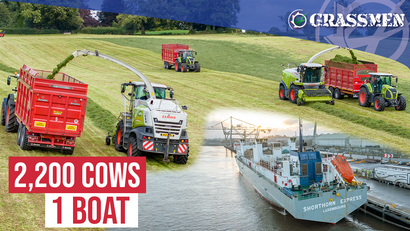 Ireland's BIGGEST Cattle Shipment to AFRICA!!! with Scally Silage