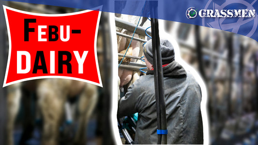 Febu-DAIRY @ Killen's Farm