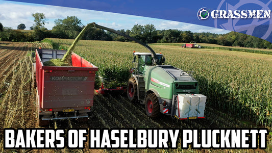 Bakers of Haselbury Plucknett