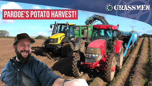 Pardoe's Potato Harvest!
