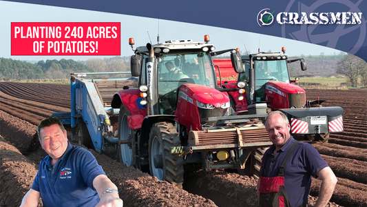 WE NEED RAIN! Spuds are in the ground!