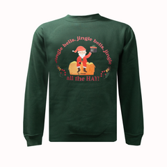 Adults Christmas Sweater- Choose Design