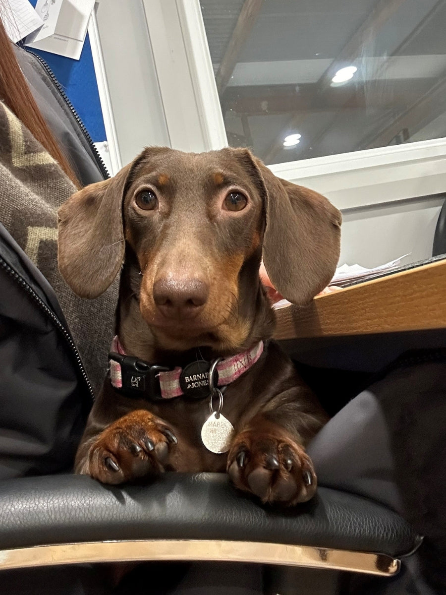 Picture of Mabel Millar