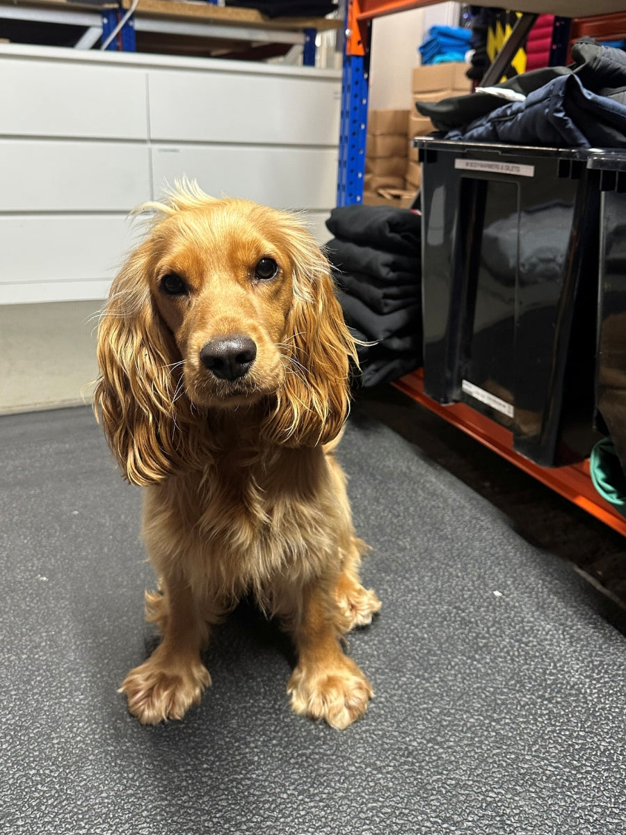 Picture of Margot Millar